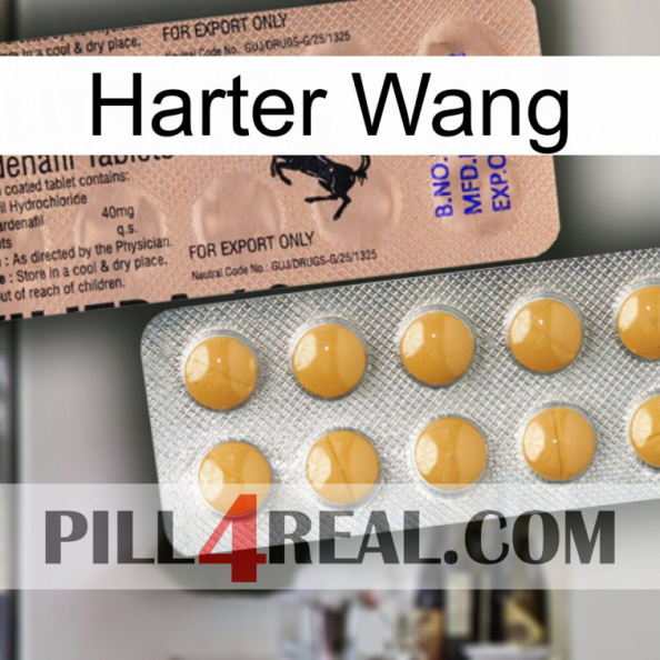Hard Wang 41